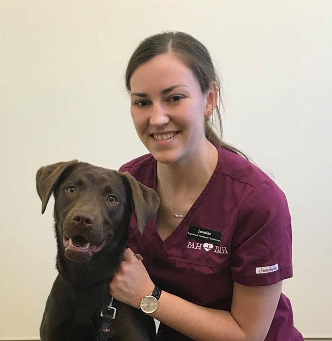 Veterinary technician sitting next to large brown dog