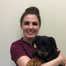 Veterinary technician holding black and brown puppy in arms