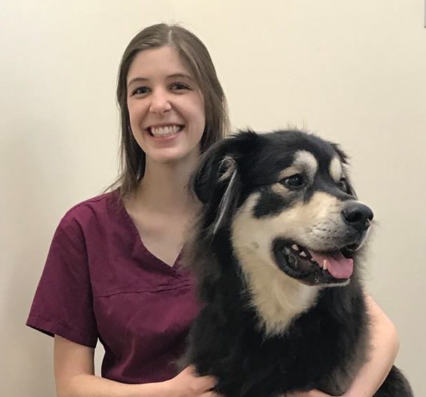 Veterinary technician holding a black and white long haired dog