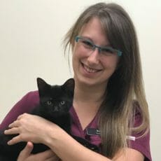 Veterinary technician holding black cat
