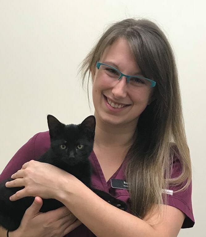 Veterinary technician holding black cat