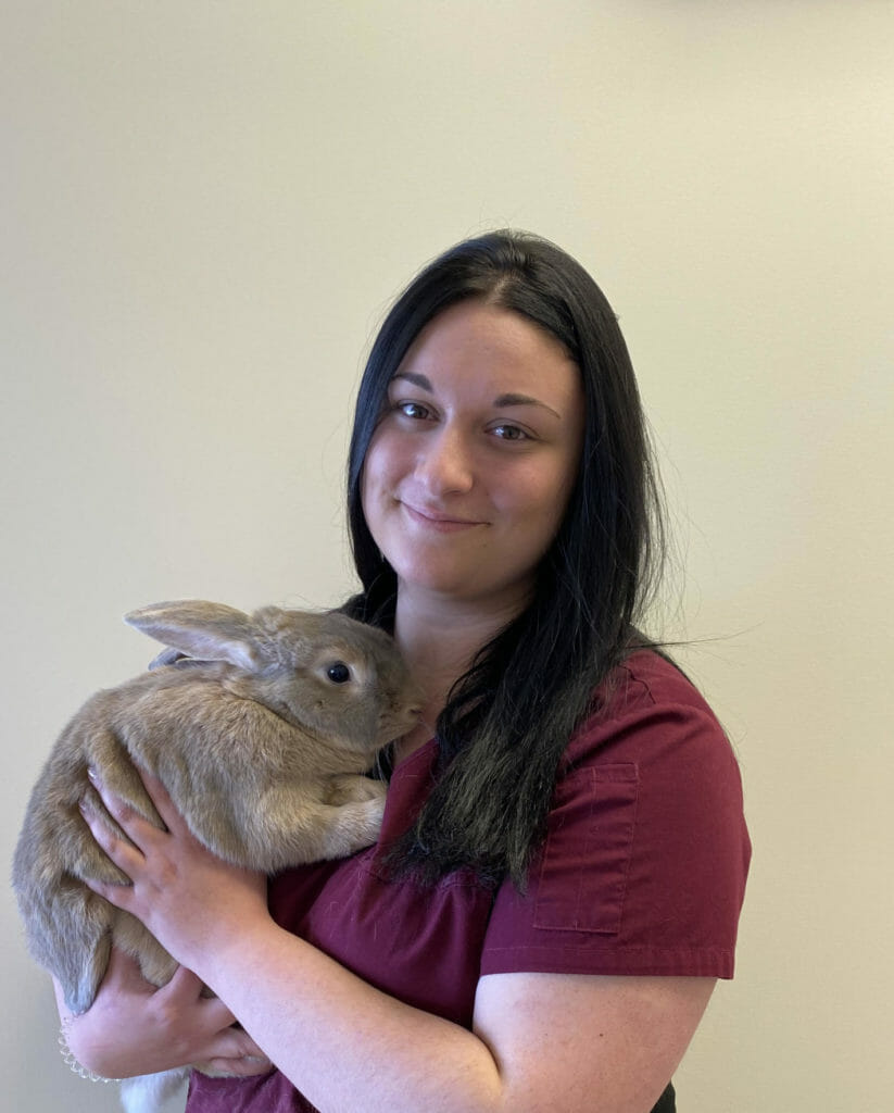 Veterinary assistant holding large brown bunny