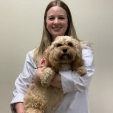 Veterinarian holding small curly haired dog
