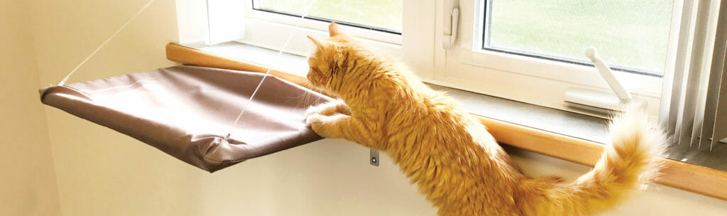 Orange cat jumping into hanging bed on window